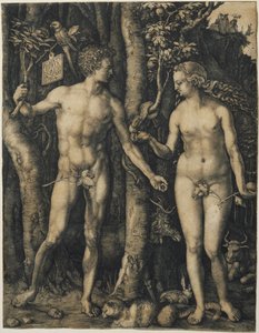 Adam und Eva von Albrecht Dürer