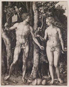 Adam und Eva von Albrecht Dürer