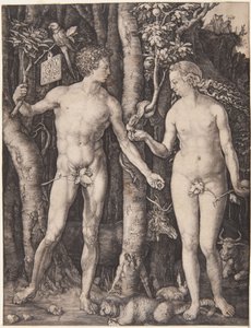 Adam und Eva von Albrecht Dürer