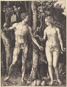  von Albrecht Dürer