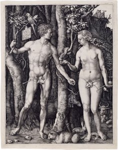  von Albrecht Dürer