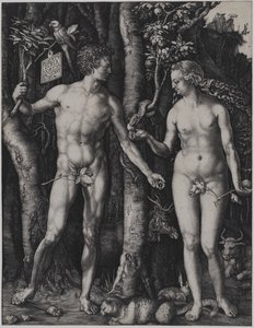 Adam und Eva von Albrecht Dürer