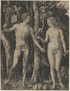 Adam und Eva von Albrecht Dürer