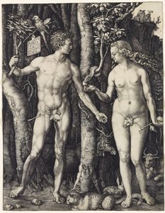 Adam und Eva von Albrecht Dürer