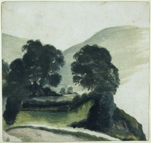 Baumgruppe mit Weg im Gebirge von Albrecht Dürer