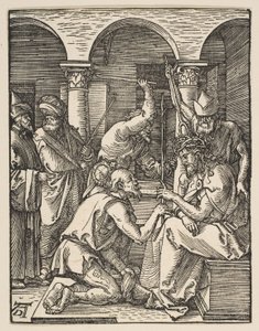  von Albrecht Dürer