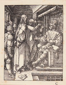  von Albrecht Dürer