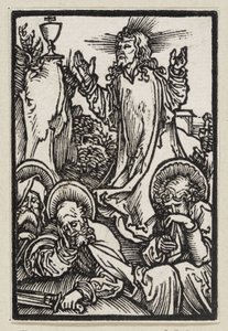  von Albrecht Dürer