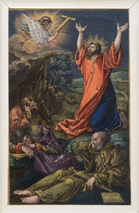  von Albrecht Dürer