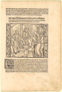  von Albrecht Dürer