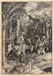  von Albrecht Dürer