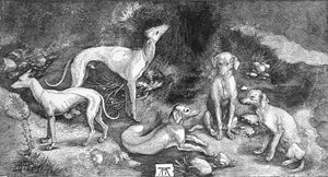 Gruppe von Hunden. Aus dem Stich von St. Eustace, von A. Dürer, um 1500, 1906