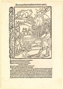 Guten Rat verschmähen von Albrecht Dürer