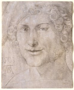 Kopf eines jungen Mannes von Albrecht Dürer