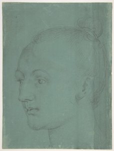  von Albrecht Dürer