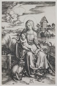  von Albrecht Dürer