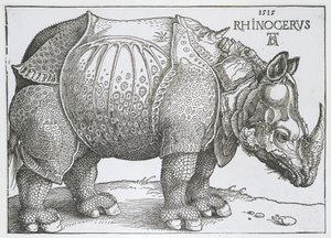 Nashorn von Albrecht Dürer