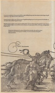  von Albrecht Dürer