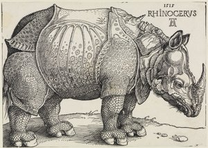 Rhinocerus (Das Rhinozeros) von Albrecht Dürer