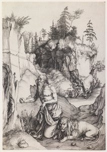  von Albrecht Dürer