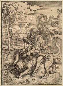  von Albrecht Dürer