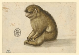  von Albrecht Dürer