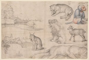  von Albrecht Dürer