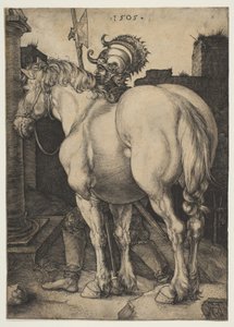  von Albrecht Dürer