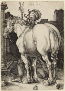  von Albrecht Dürer