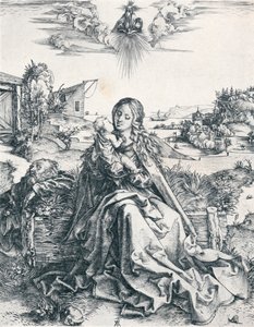 Die Heilige Familie mit der Libelle, 1495 von Albrecht Dürer