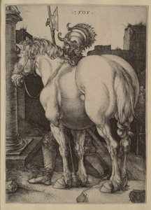  von Albrecht Dürer