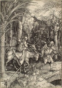 von Albrecht Dürer