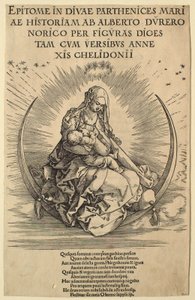  von Albrecht Dürer