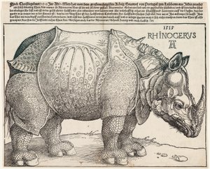 Das Nashorn von Albrecht Dürer