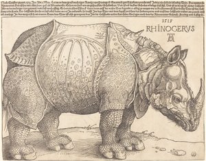 Das Nashorn, 1515 von Albrecht Dürer