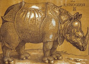Das Nashorn, 1515