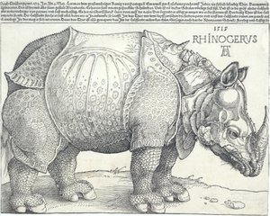 Das Nashorn, 1515 von Albrecht Dürer