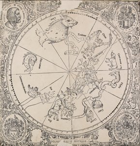 Die himmlische Karte der südlichen Hemisphäre, frühes 16. Jahrhundert von Albrecht Dürer
