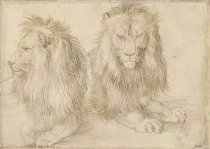 Zwei liegende Löwen. 1521 von Albrecht Dürer