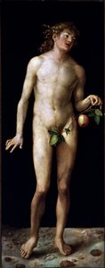 Adam von Albrecht Dürer or Duerer