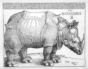 Das Nashorn, 1515 von Albrecht Dürer