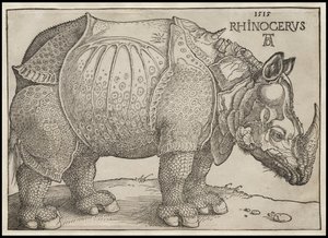 Das Nashorn, 1515 von Albrecht Dürer