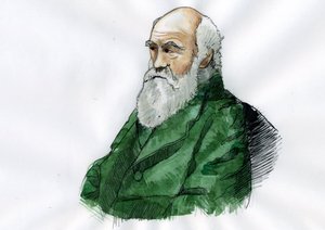 Porträt von Charles Darwin (1809-1882), englischer Naturforscher - Illustration
