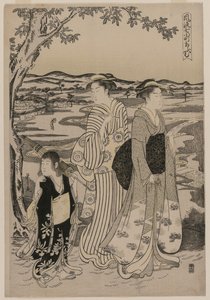 Omu der Papagei (aus der Serie Sieben elegante Episoden aus dem Leben der Dichterin Ono no Komachi) von Alessandro Magnasco