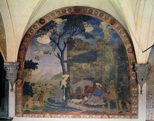 Die Geburt Christi, 1460-62