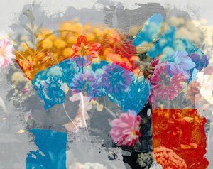 Regenbogen