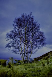 Zweifarbige Landschaft