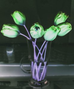 Lichtbrechung, 2019