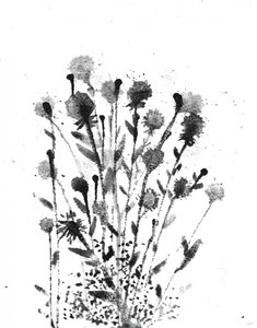 Abstrakte Tintenblüten von Alex Walsh