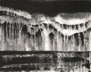 Dunkle Naturabstraktion von Alex Walsh